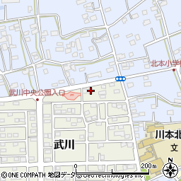 埼玉県深谷市武川130周辺の地図