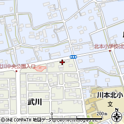 埼玉県深谷市武川133周辺の地図