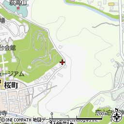 岐阜県高山市左京町481周辺の地図