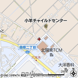 埼玉県行田市若小玉2106周辺の地図