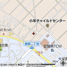 埼玉県行田市若小玉2113-1周辺の地図