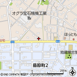 埼玉県行田市若小玉2493-1周辺の地図