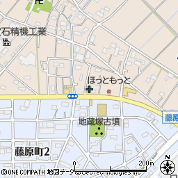 埼玉県行田市若小玉2273周辺の地図