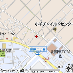 埼玉県行田市若小玉2114周辺の地図