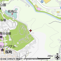 岐阜県高山市左京町4110周辺の地図