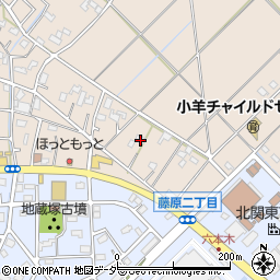 埼玉県行田市若小玉2209周辺の地図