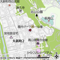 岐阜県高山市八幡町100周辺の地図