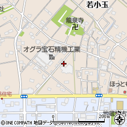 埼玉県行田市若小玉2474周辺の地図