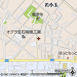 埼玉県行田市若小玉2360-4周辺の地図