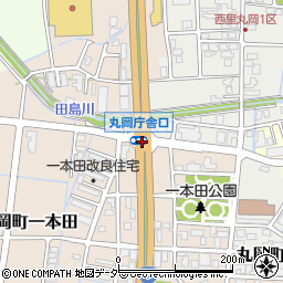 丸岡役場口周辺の地図