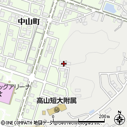 岐阜県高山市下岡本町2290周辺の地図
