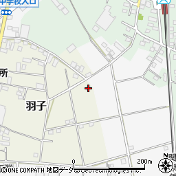 茨城県下妻市羽子545-4周辺の地図