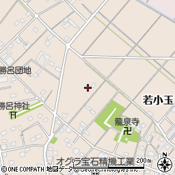 埼玉県行田市若小玉2405周辺の地図