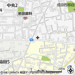 埼玉県熊谷市上之2199周辺の地図