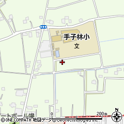 埼玉県羽生市下手子林604-1周辺の地図