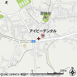 岐阜県高山市下岡本町1866周辺の地図
