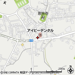 岐阜県高山市下岡本町1866-8周辺の地図