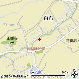 埼玉県児玉郡美里町白石2251-1周辺の地図