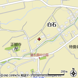 埼玉県児玉郡美里町白石2233周辺の地図