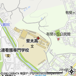 岐阜県立斐太高等学校周辺の地図