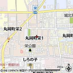 〒910-0262 福井県坂井市丸岡町栄の地図