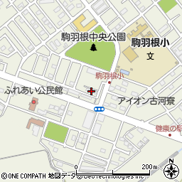 茨城県古河市駒羽根1399周辺の地図