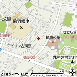 茨城県古河市駒羽根1368周辺の地図
