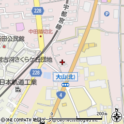 茨城県古河市茶屋新田24周辺の地図