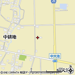 長野県東筑摩郡山形村1489周辺の地図