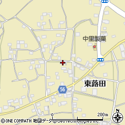 茨城県結城郡八千代町東蕗田538周辺の地図
