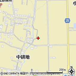 長野県東筑摩郡山形村1708周辺の地図