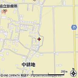 長野県東筑摩郡山形村中大池下村周辺の地図