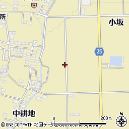 長野県東筑摩郡山形村1706周辺の地図