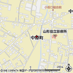 長野県山形村（東筑摩郡）中原町周辺の地図