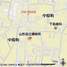 長野県東筑摩郡山形村2519周辺の地図