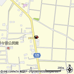 茨城県古河市東山田3744周辺の地図
