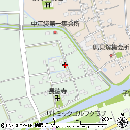 埼玉県行田市中江袋100周辺の地図