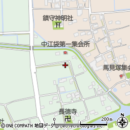 埼玉県行田市中江袋119周辺の地図