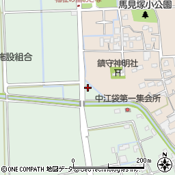 埼玉県行田市中江袋354-2周辺の地図