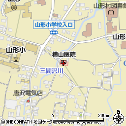 長野県東筑摩郡山形村3916周辺の地図