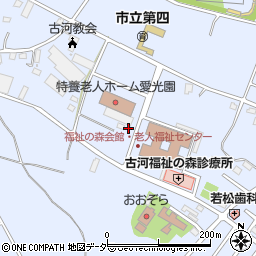 茨城県古河市新久田250-1周辺の地図