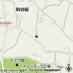 茨城県古河市駒羽根553周辺の地図