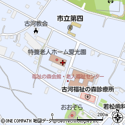 茨城県古河市新久田250-5周辺の地図