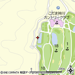 埼玉県児玉郡神川町渡瀬1249-8周辺の地図