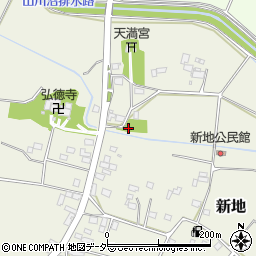 茨城県結城郡八千代町新地494周辺の地図