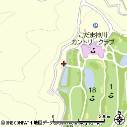 埼玉県児玉郡神川町渡瀬1249-1周辺の地図