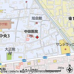 宮沢犬猫病院周辺の地図