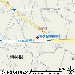 茨城県古河市駒羽根252周辺の地図