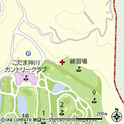 埼玉県児玉郡神川町渡瀬1489-3周辺の地図