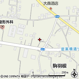 茨城県古河市駒羽根305周辺の地図